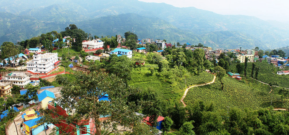 इलामसहित सात नगरपालिका उत्कृष्ट घोषित
