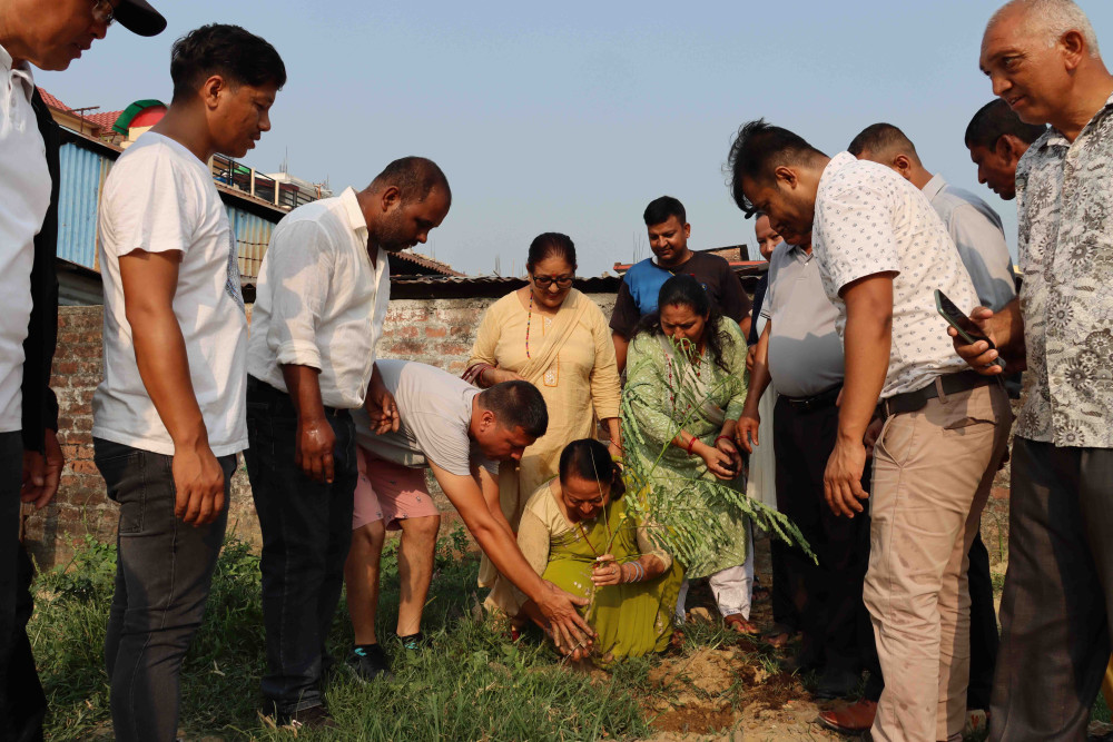 हरित बिर्तामोड नगर बनाउन हरित बर्ष घोषणा गरिने