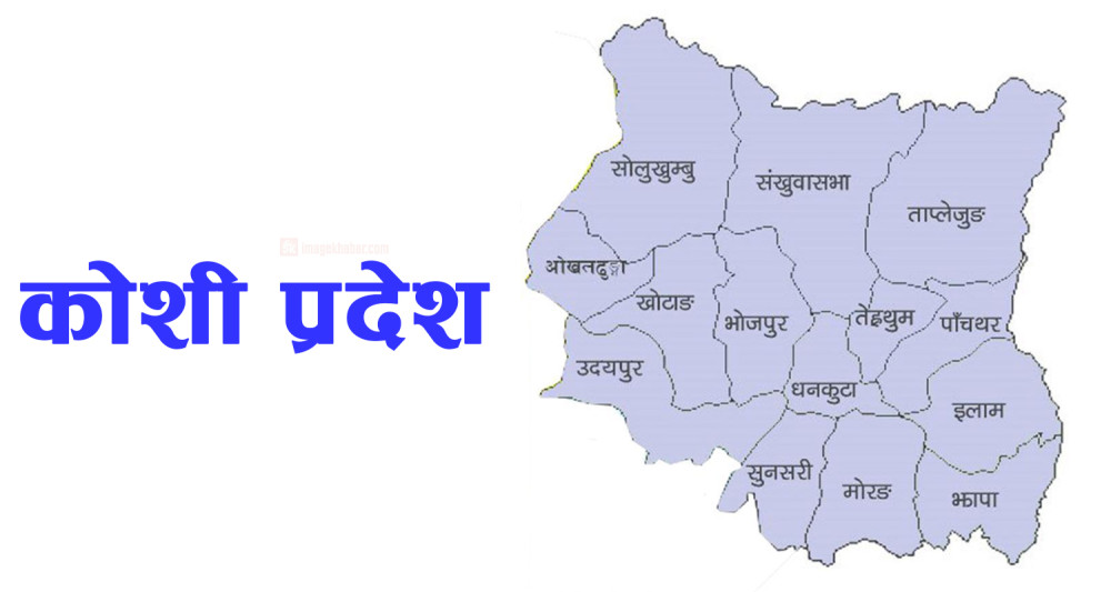 कोशीमा उद्धव थापाको नेतृत्वमा सरकार बनाउने गठबन्धनको निर्णय