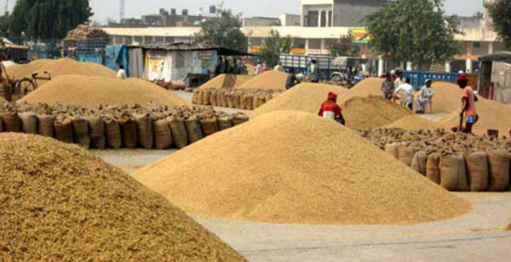 धान उत्पादन बढेपनि चामलको मूल्य आकाशियो