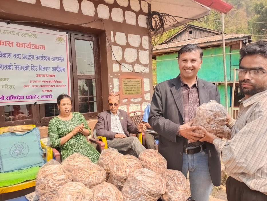 बाँदर प्रभावित कृषकलाई बेसारको विउ वितरण