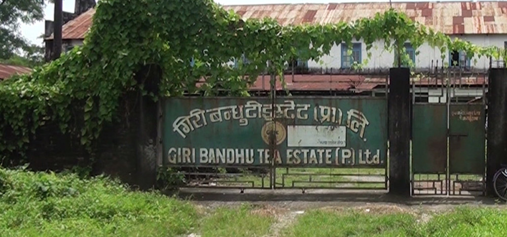 गिरीबन्धुको विषयलाई कांग्रेसले संसदमा उठाउने
