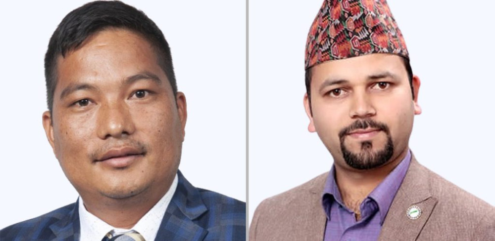 प्रधानमन्त्रीको निर्देशन नमान्ने विद्युत प्राधिकरणका दुई सञ्चालक हटाइए
