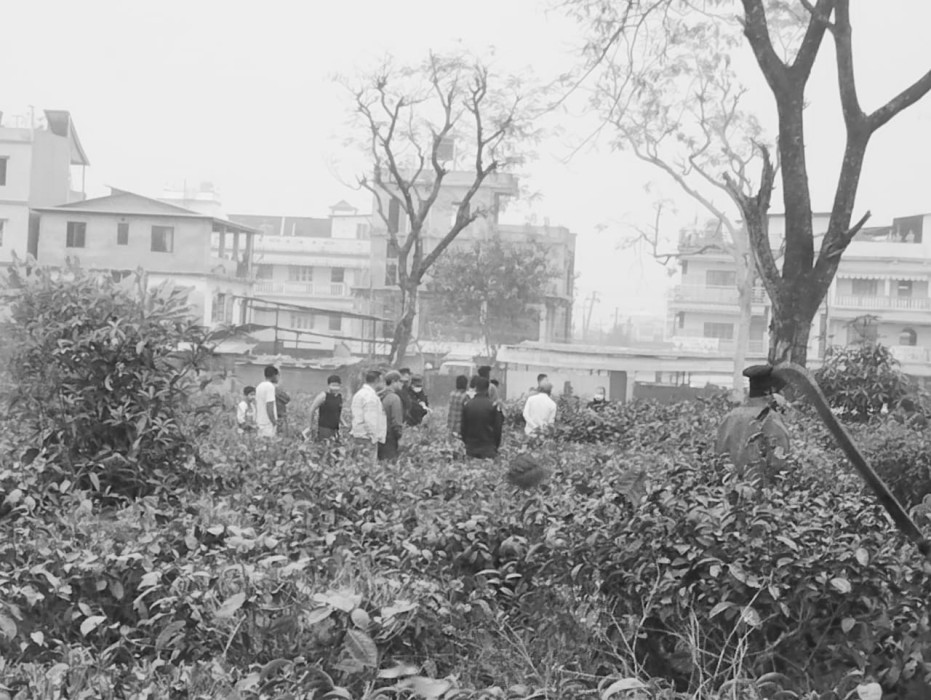 गिरीबन्धु चियाबगानमा पाँचथरको कुमार गुरुङको शव फेला