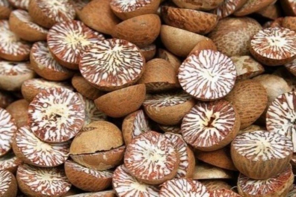 सुपारी निर्यात रोकिँदा अर्बौं विदेशी आम्दानी गुम्दै