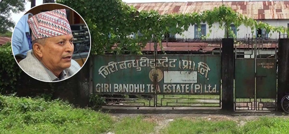 चिया बगान बाहेकको प्रयोजनमा प्रयोग गरे गिरीबन्धुको जग्गा स्वत: सरकारको हुने