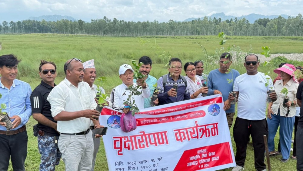 झापामा पूर्व जनमुक्ति सेनाले रोप्यो सयौ बिरुवा